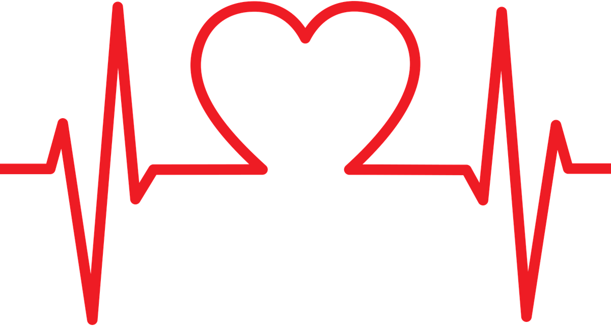 srdce-vladca-organov